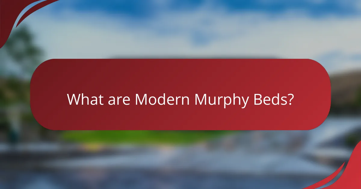 What are Modern Murphy Beds?