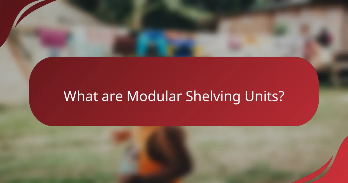 What are Modular Shelving Units?