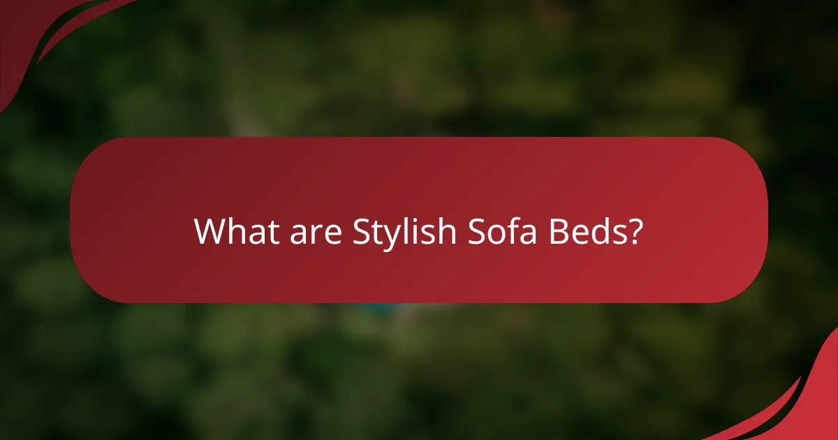 What are Stylish Sofa Beds?