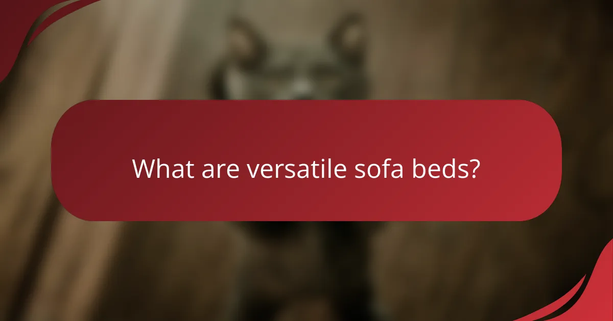 What are versatile sofa beds?