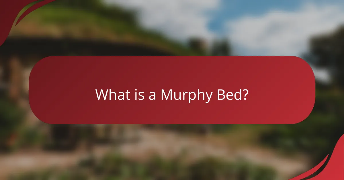 What is a Murphy Bed?