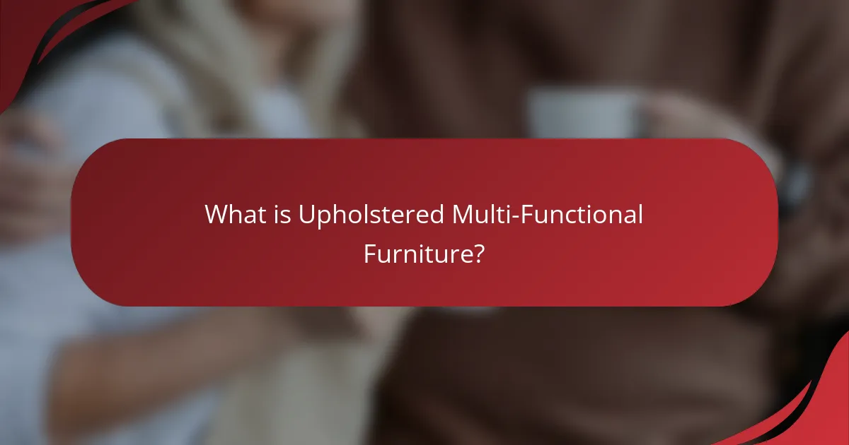 What is Upholstered Multi-Functional Furniture?