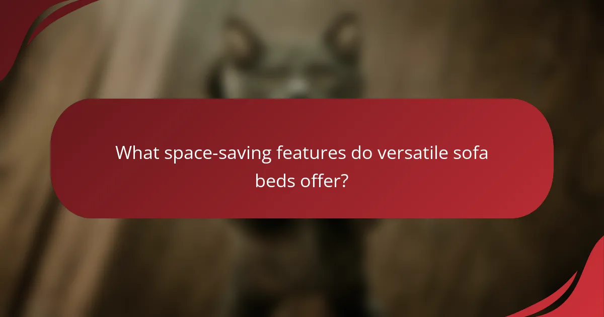 What space-saving features do versatile sofa beds offer?