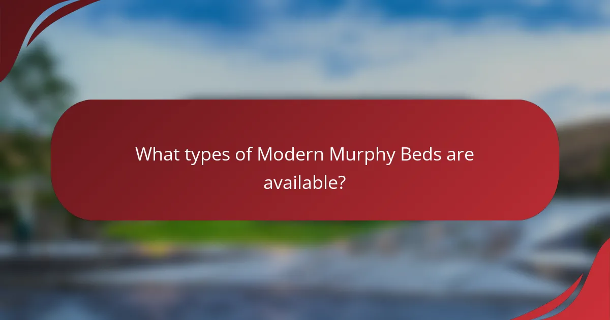 What types of Modern Murphy Beds are available?